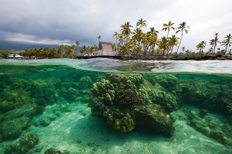 image_readtop_2017_543195_15026508642990607