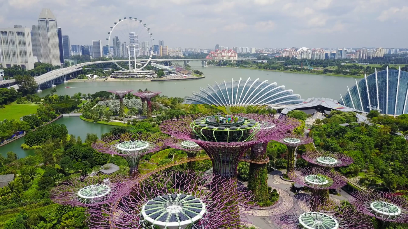 aerial-view-of-the-supertree-grove-at-gardens-by-the-bay-in-singapore_rcc3adoug_thumbnail-full01